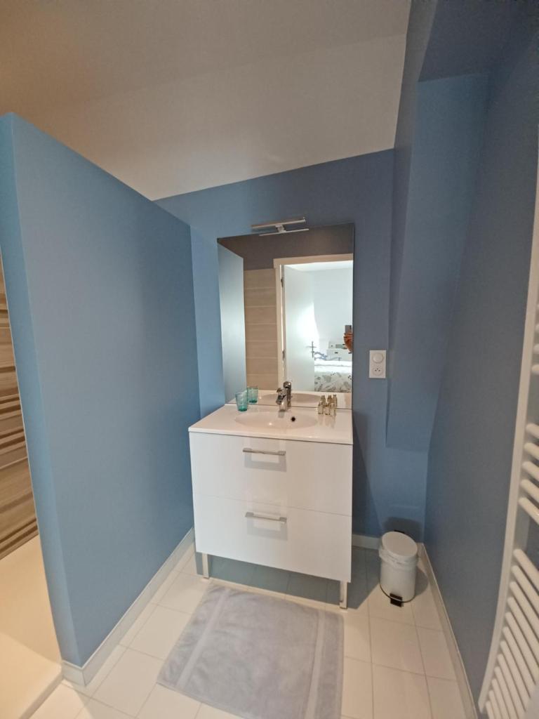 Rêve de Loire chambres d'hôtes au calme au pied des châteaux de la Loire photo 4