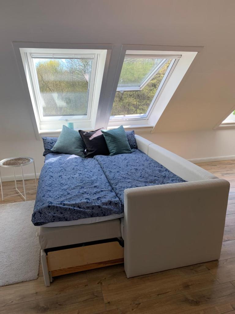 Sonniges Stadt-Apartment in ruhiger Parklage photo 3