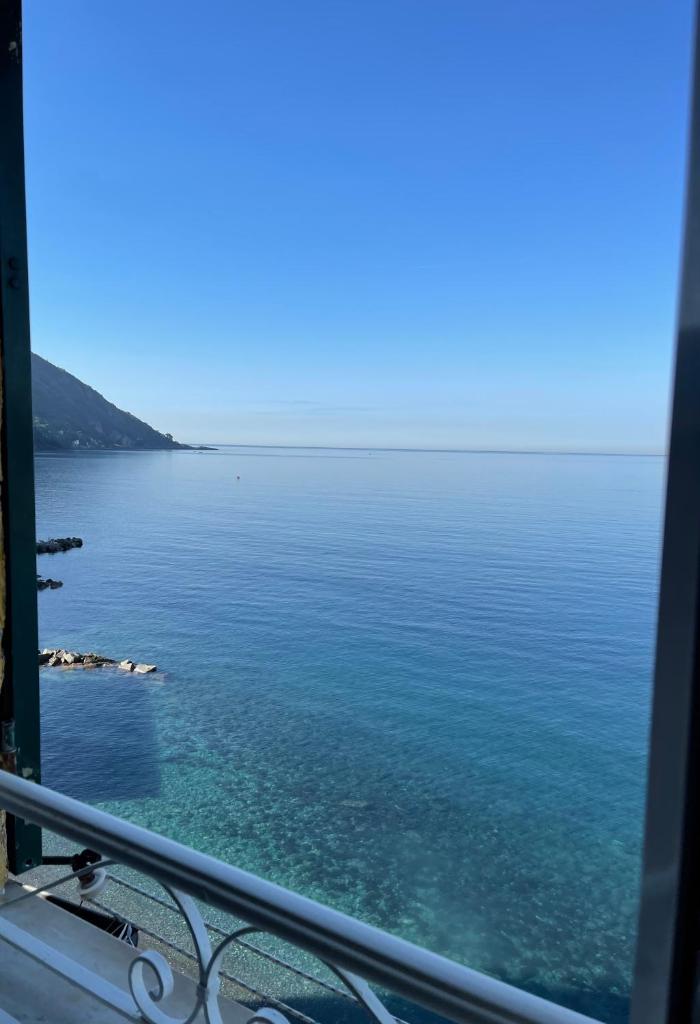 La Lampara Camogli photo 2