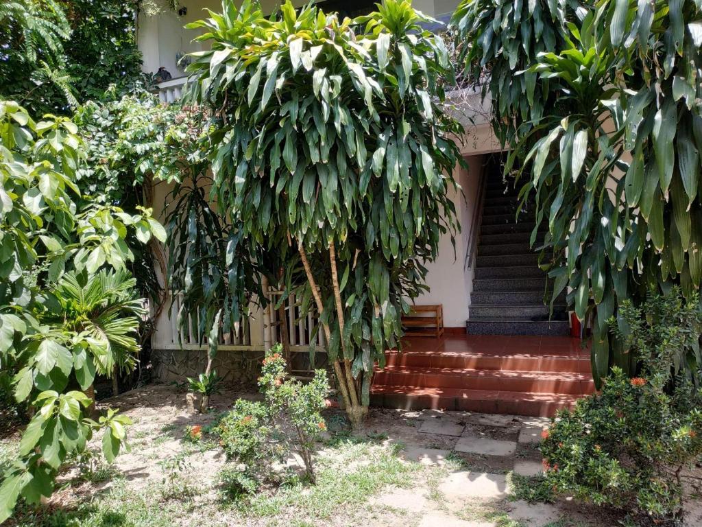 Nguyen Duy homestay