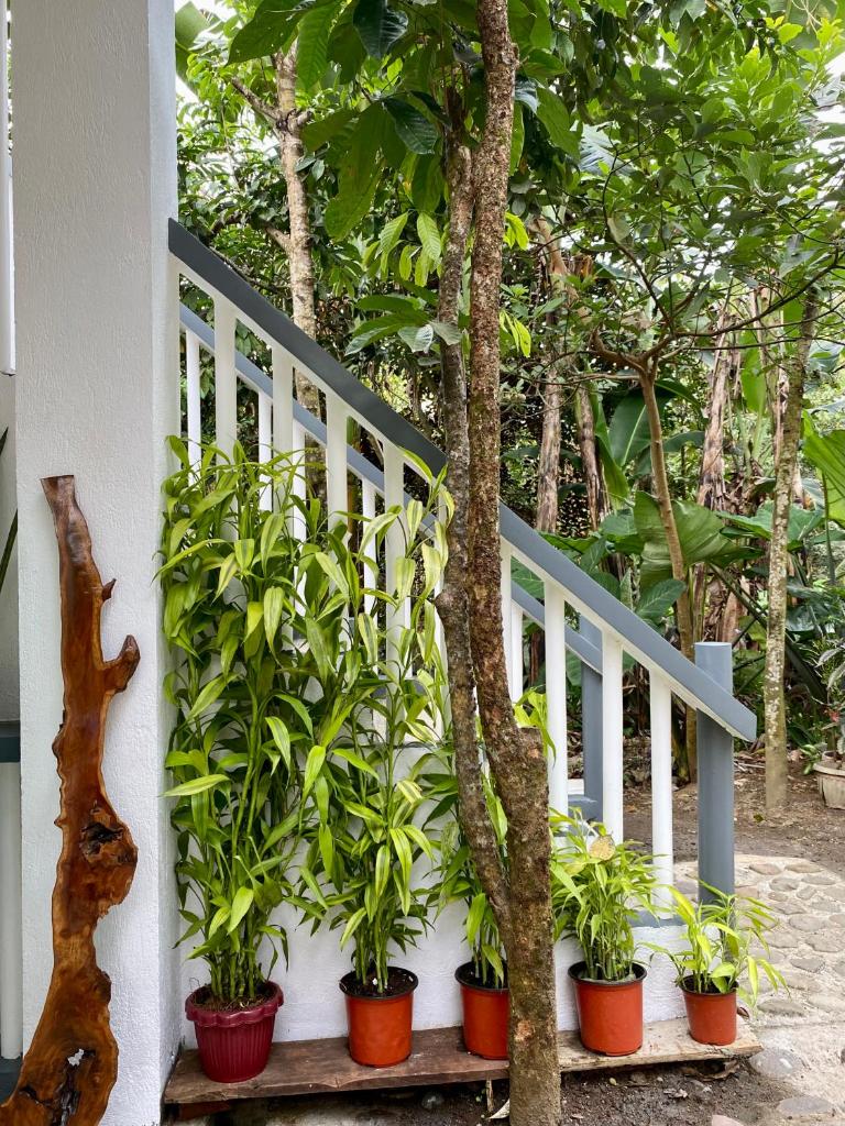 Casa Calanog photo 4