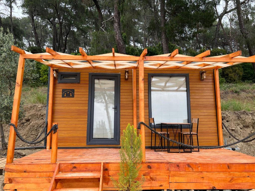 Tiny Mini House photo 3