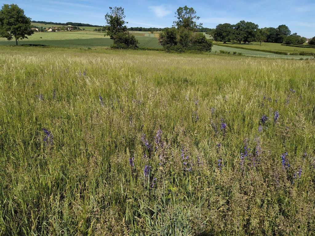 La Mezzabulle photo 2