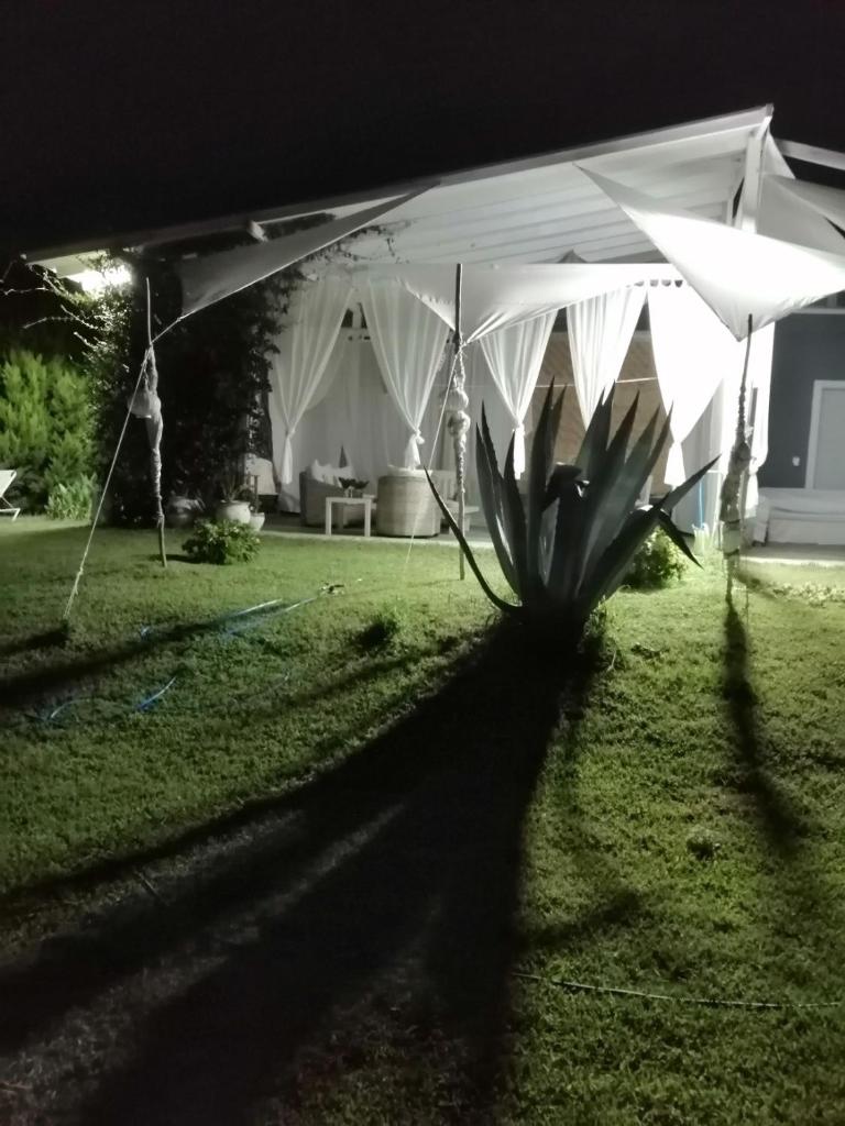 Alos photo 2