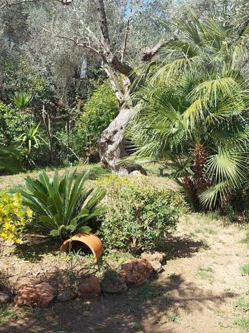 Bill's Garden Villa photo 1