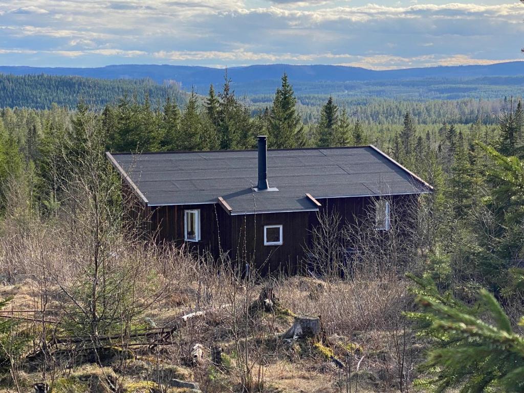 Cozy forest cabin with amazing mountain view