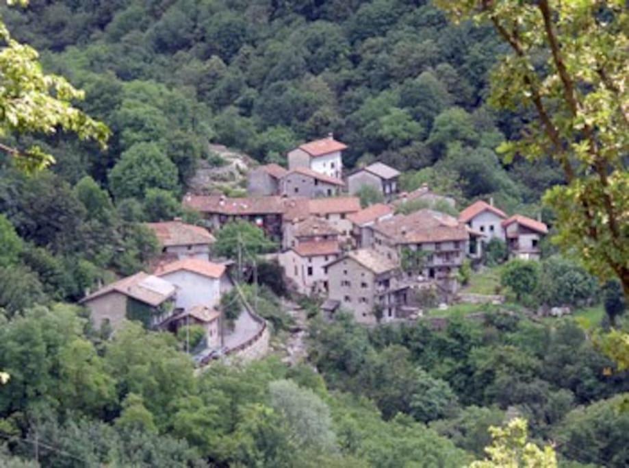 TORRE DEL GRIFONE nel medioevo di Cividale del Friuli photo 4