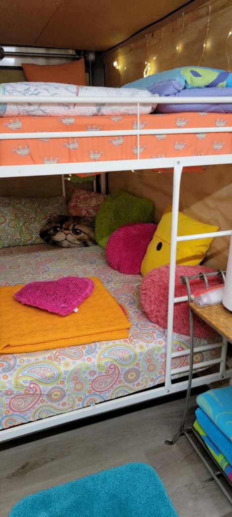 Sleep Birds glamping trailer 5min to the beach photo 2