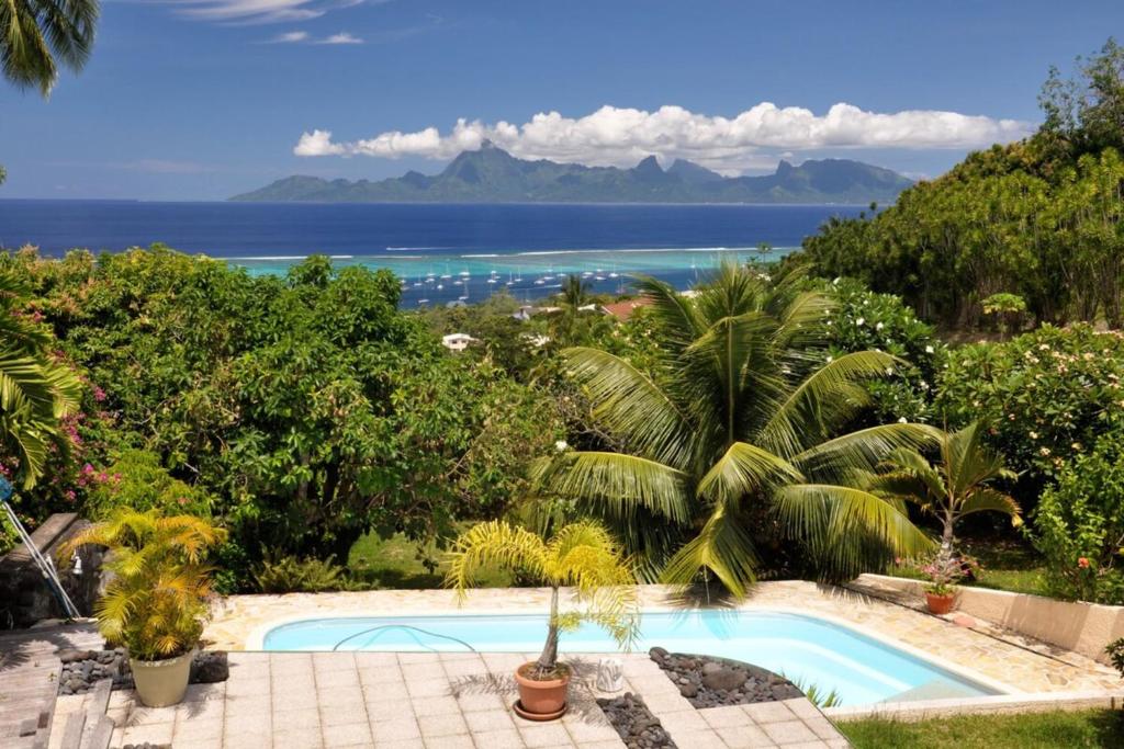 Appartement Villa Taina piscine photo 1