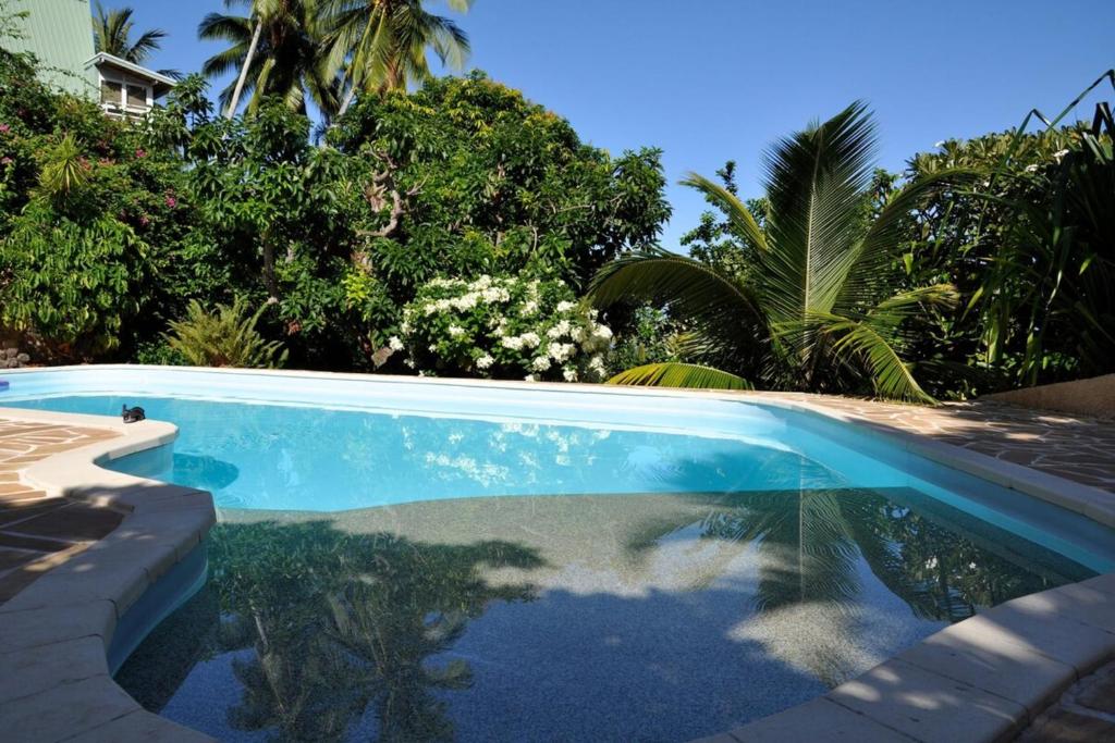 Appartement Villa Taina piscine photo 3