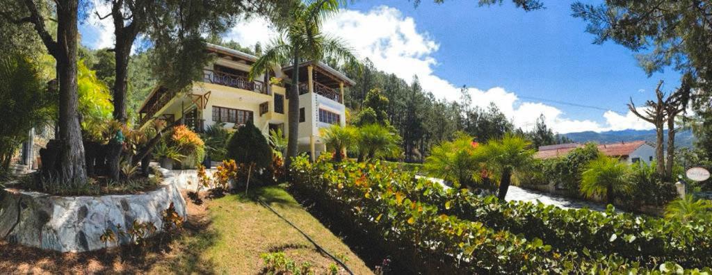 Villa paloma photo 1