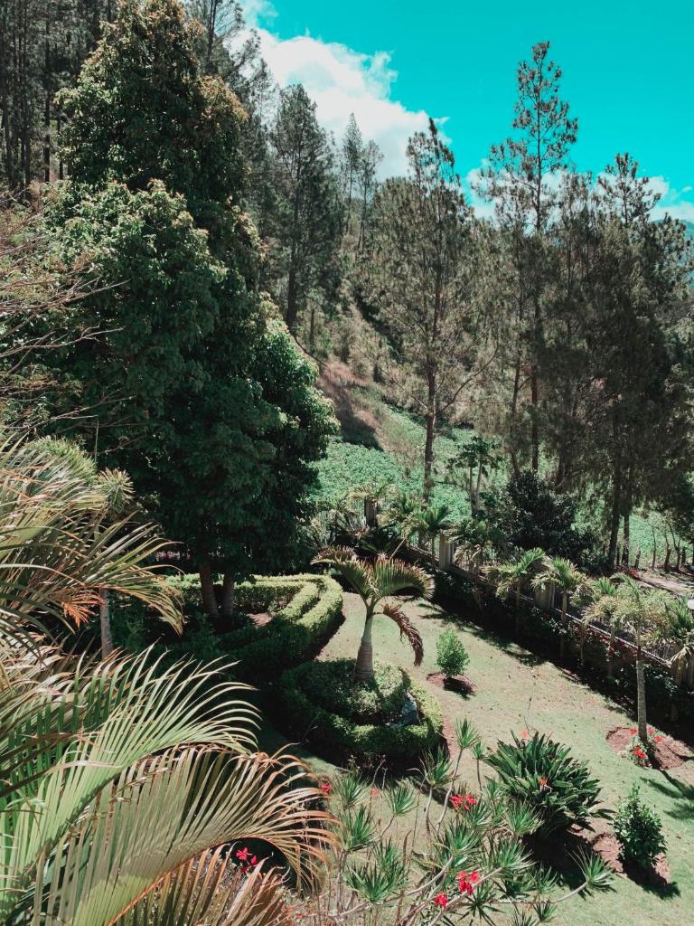 Villa paloma photo 3