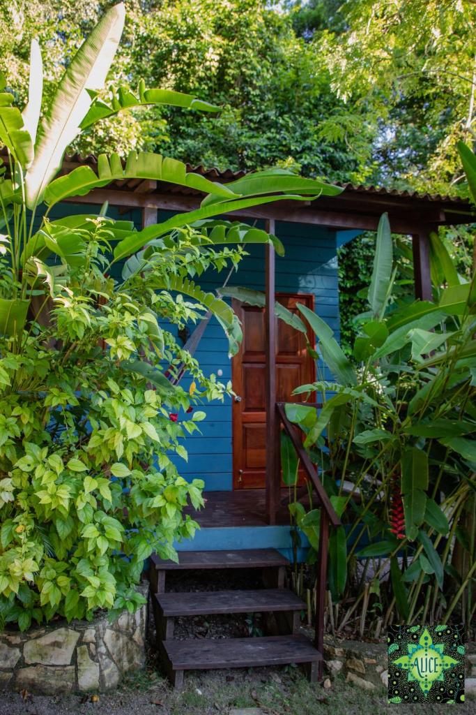 Alice Guesthouse photo 1