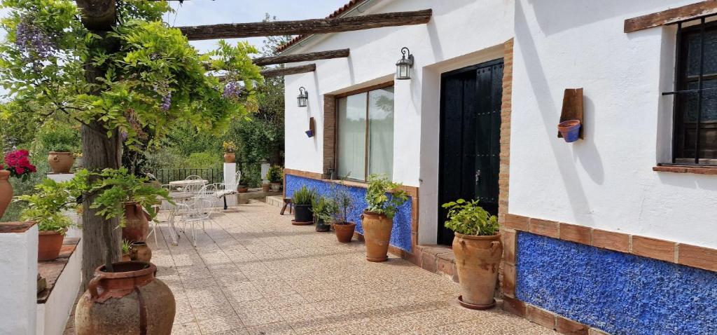 Villa Botero photo 2