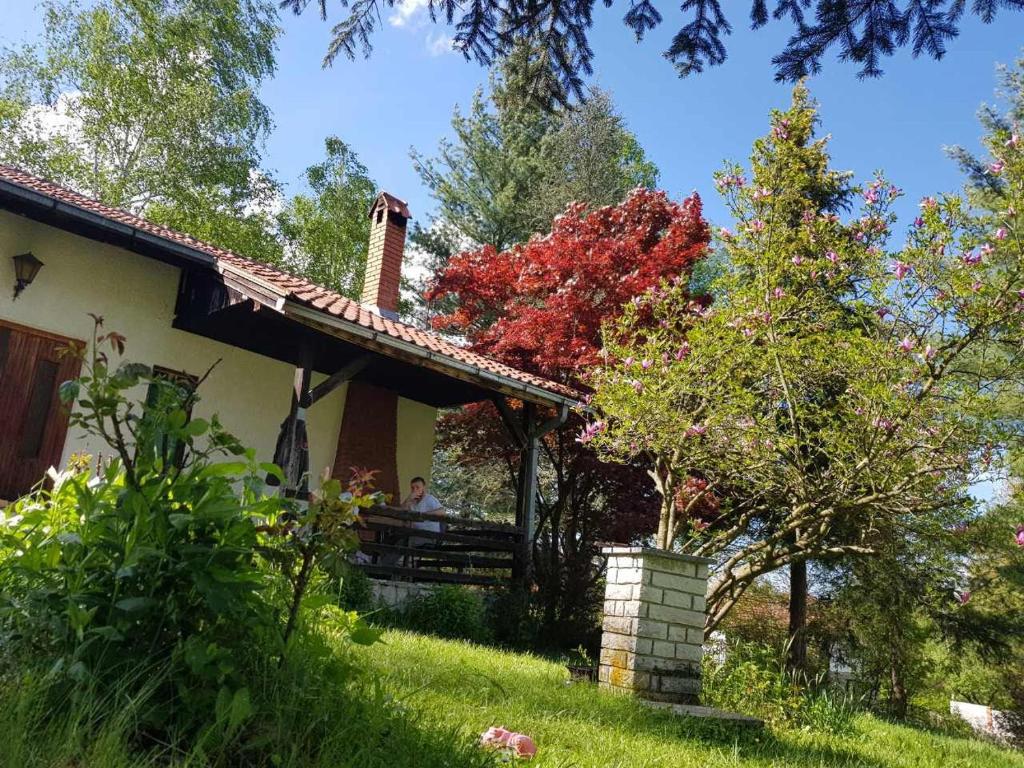 Takovo - odmor u selu photo 2
