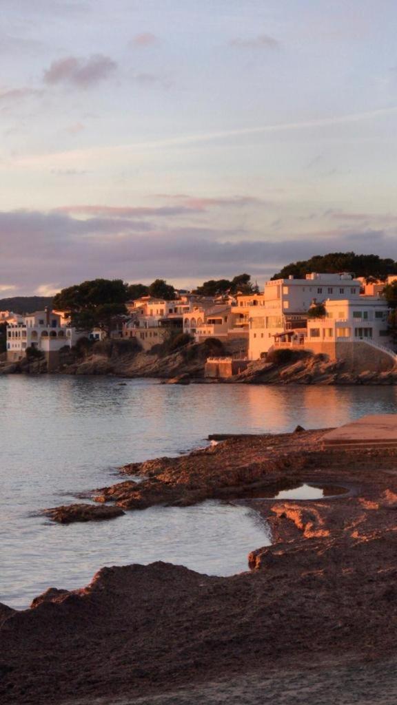 JUST EXPERIENCE MALLORCA photo 3