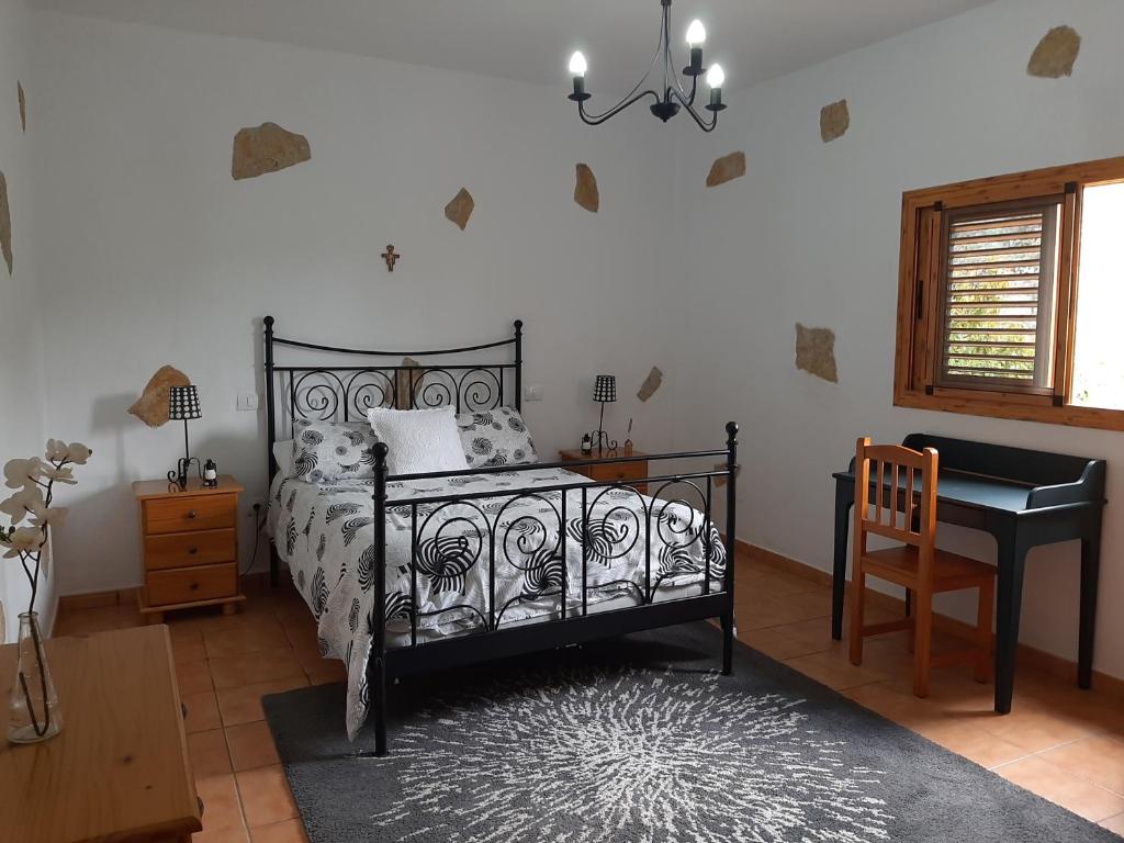 Peaceful house set on a vineyard & work friendly photo 4