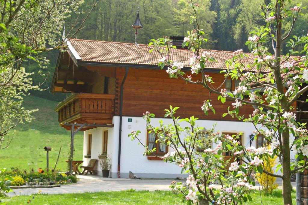 Ferienwohnungen Wanderparadies photo 1