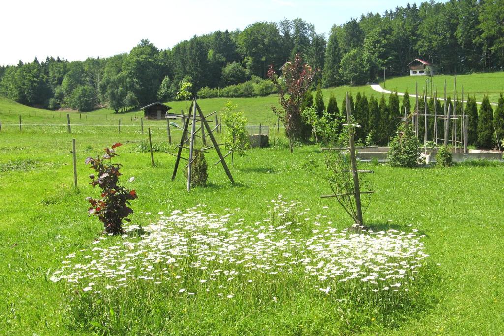 Ferienwohnungen Wanderparadies photo 4