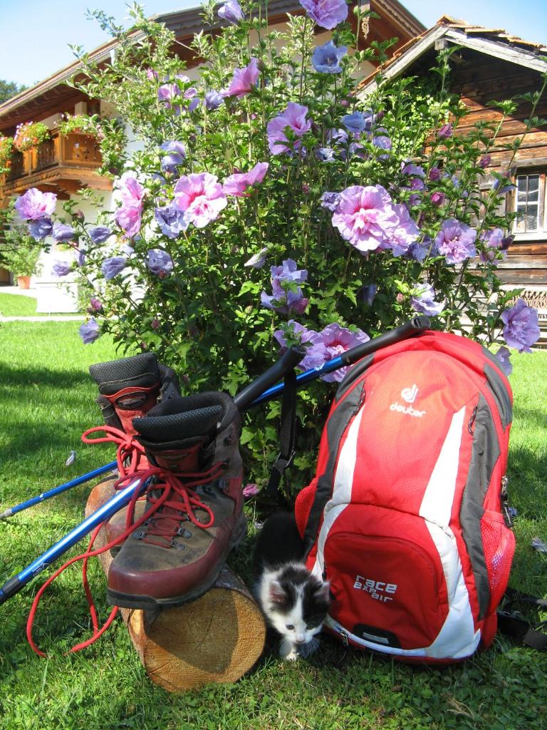 Ferienwohnungen Wanderparadies Bauernhof photo 2