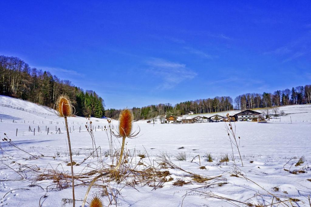 Ferienwohnungen Wanderparadies Bauernhof photo 4