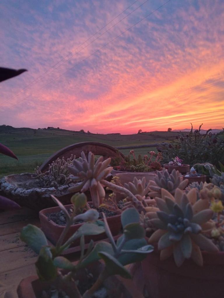 Agriturismo Enjoy Sunset photo 3