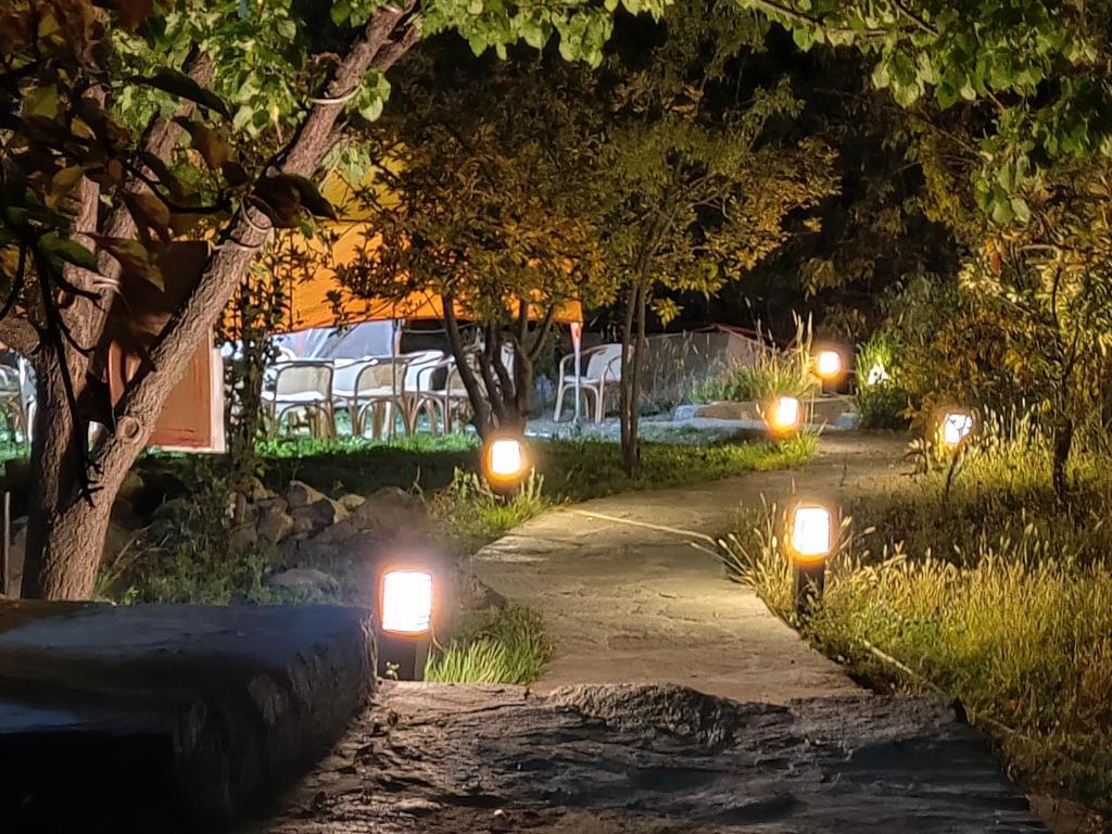 Grapes Garden Resort Hunza photo 2