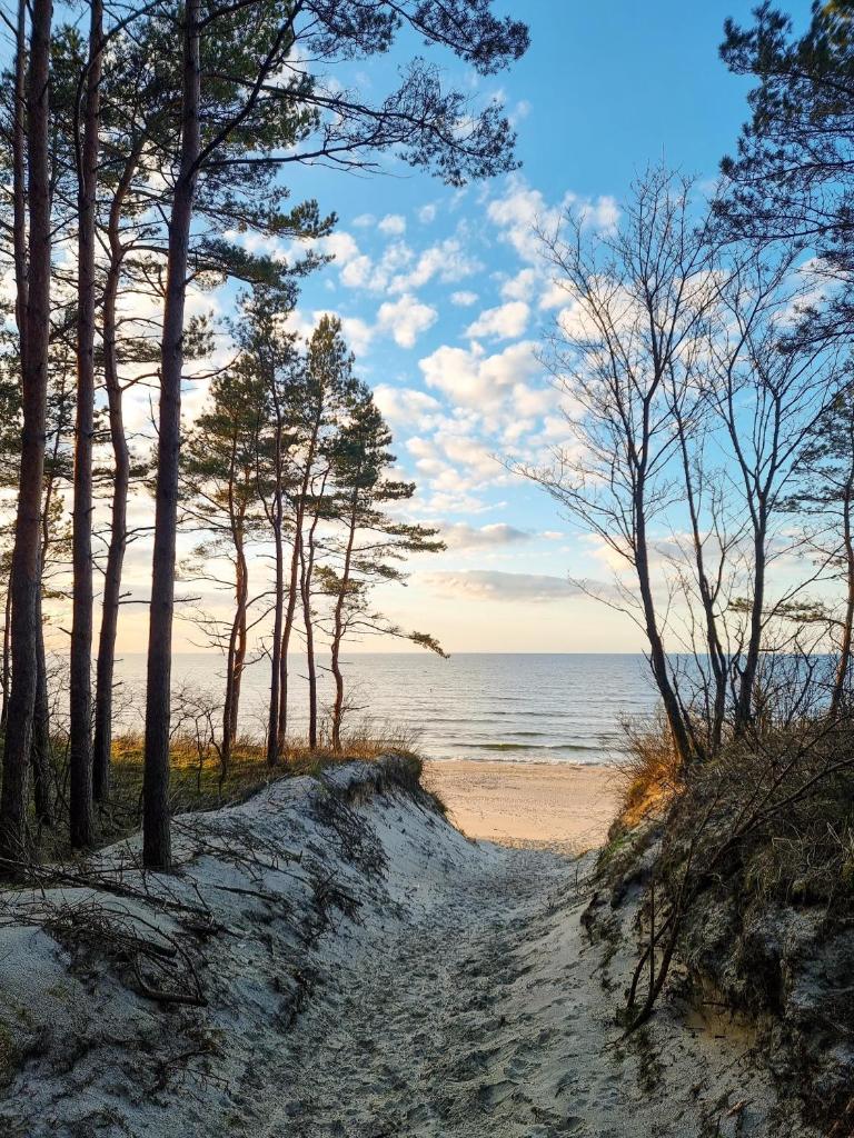 Domek całoroczny nad morzem Stegna Baltica photo 2