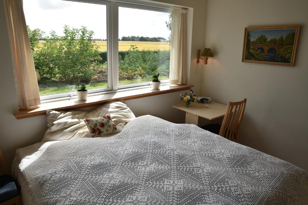 Henne Strand Ferie Accommodation photo 2