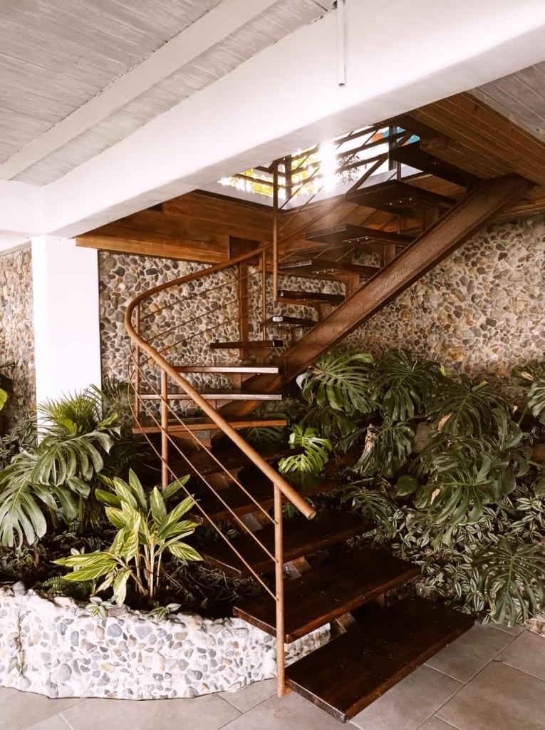 Casa NATIVO photo 3