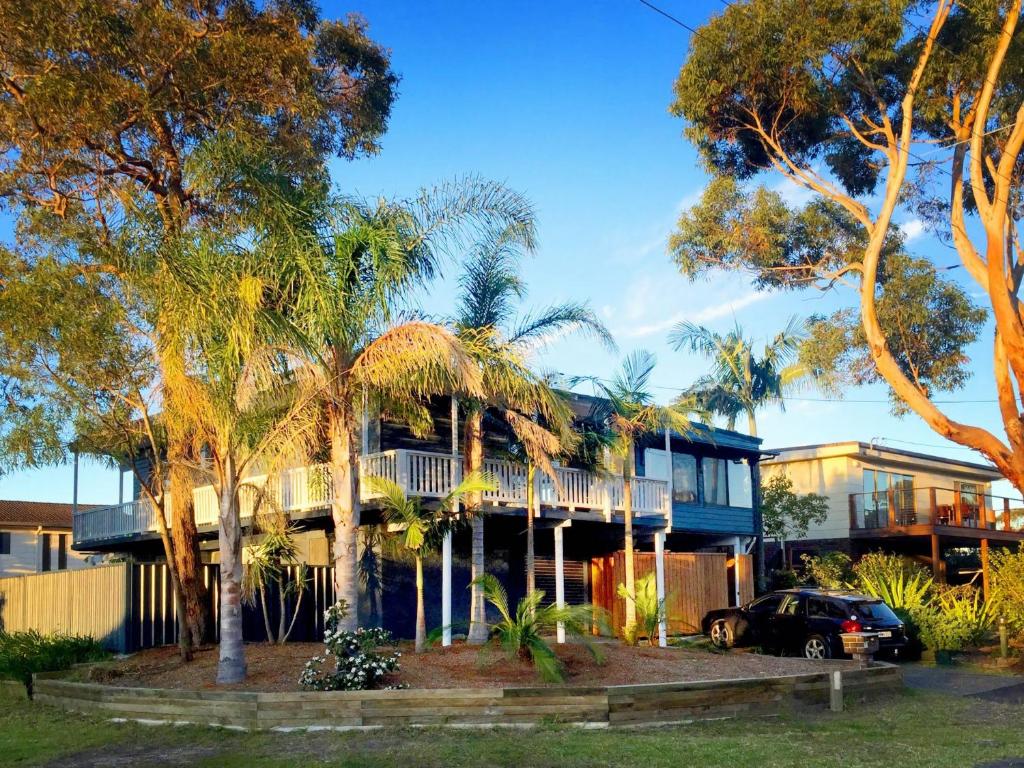Blue Palms