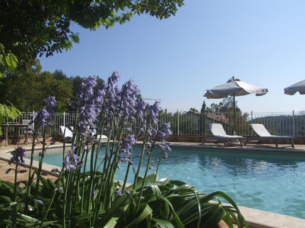 Vacanze Toscane In The Country photo 3