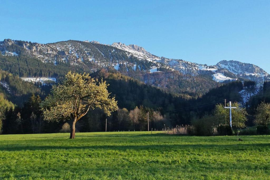 Ferienwohnungen Wanderparadies photo 2