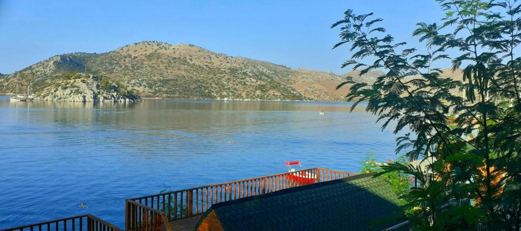 Sea View Bungalow w Pier and Terrace in Bozburun photo 1