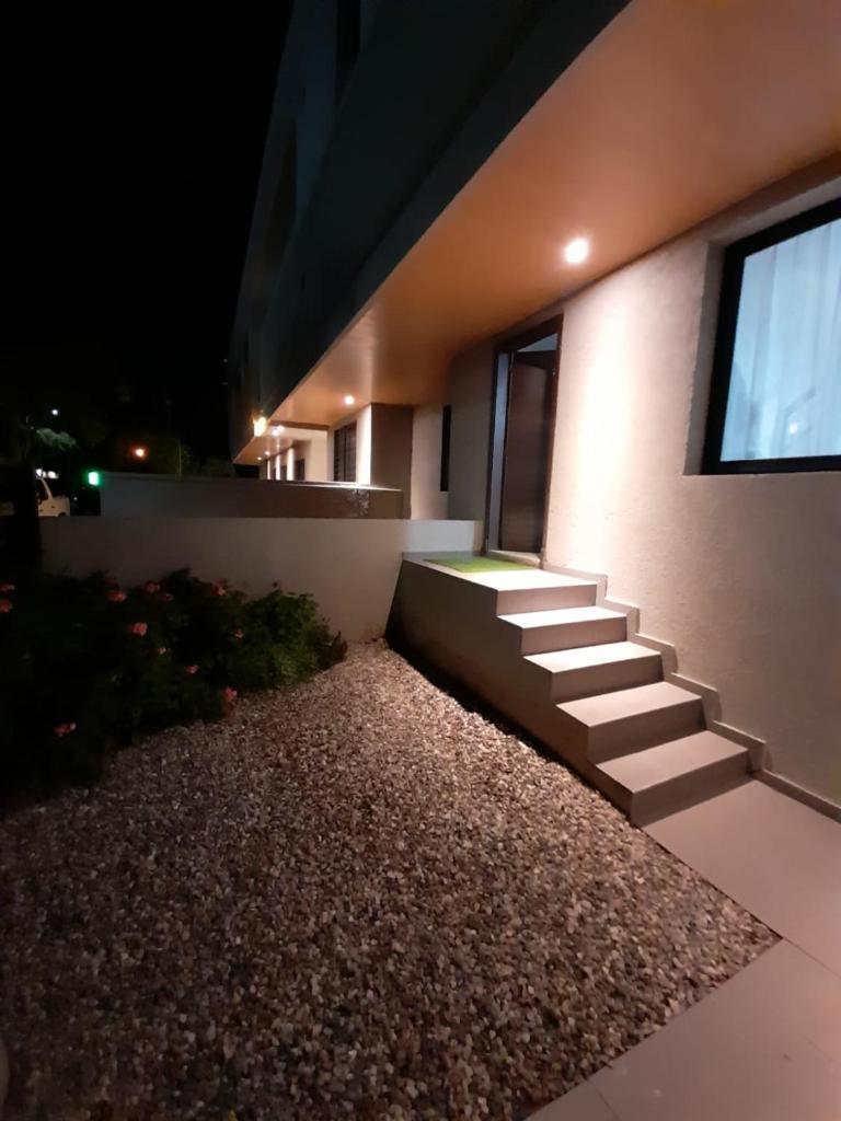 Arecas photo 4