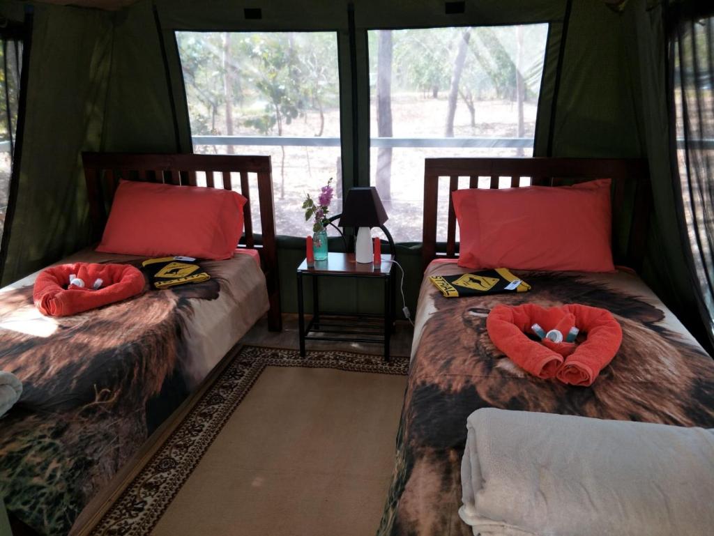 Nina's Ark Wildlife Sanctuary Package photo 3