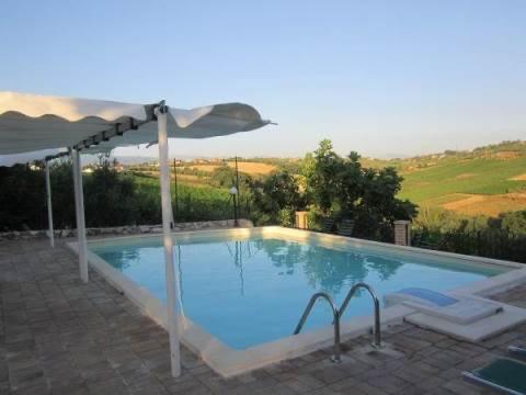 Exclusive Swimming Pool photo 2