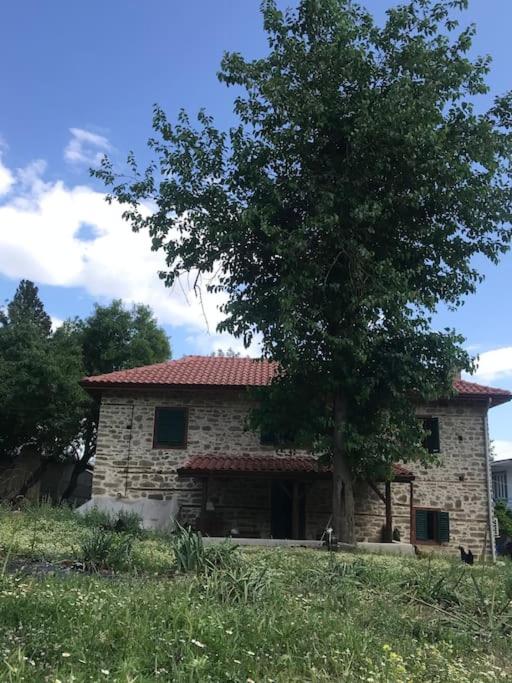 Lovely house in the heart of nature photo 4