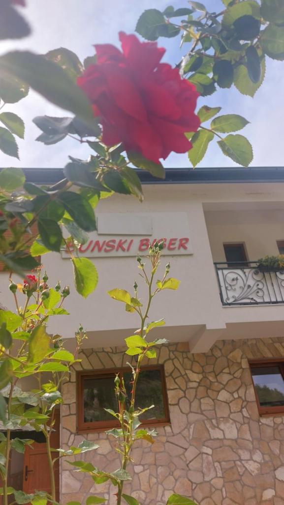 Villa Bunski biser photo 1