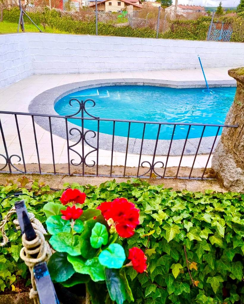 Casa rural Braulio photo 3