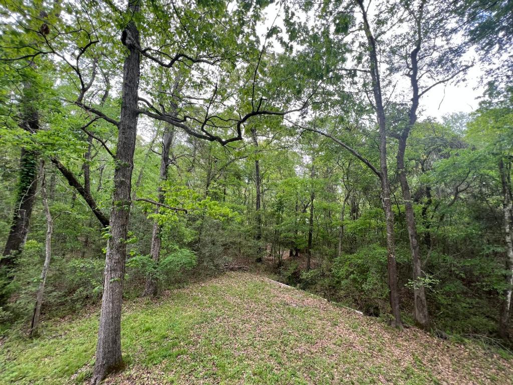 2 BDRM Treehouse Hideout- Lake Conroe with Boat ramp photo 4