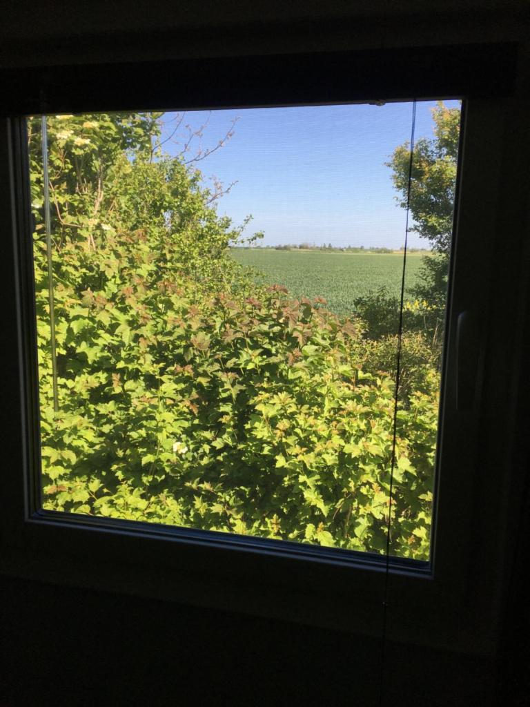 Glamping aan de Thoolse kust photo 4