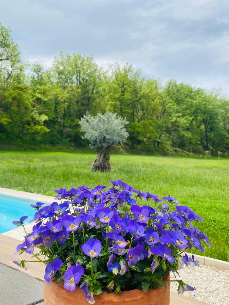 Villa Architecte Contemporaine Fuveau photo 2