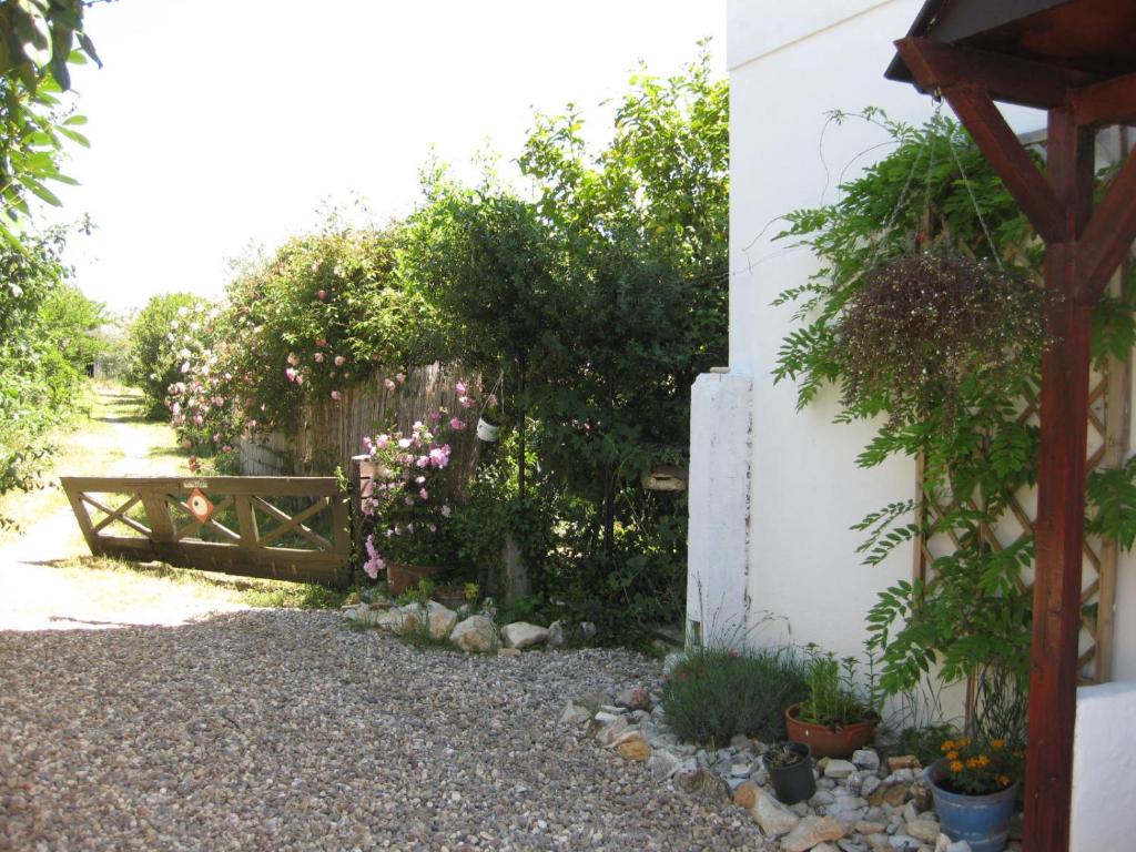 Quinta dos Church photo 4