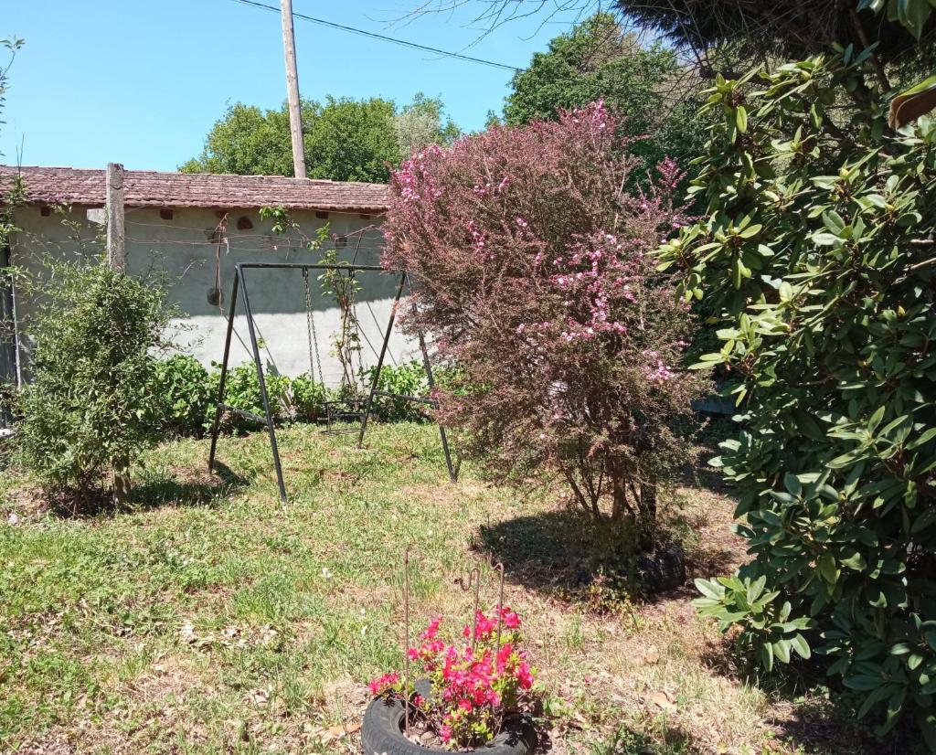 Casa Bolero photo 3