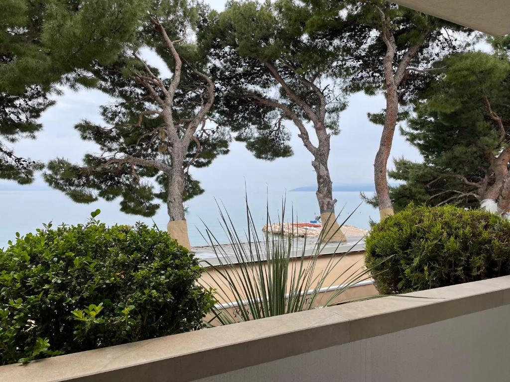 Beach Apartments Ankora photo 2