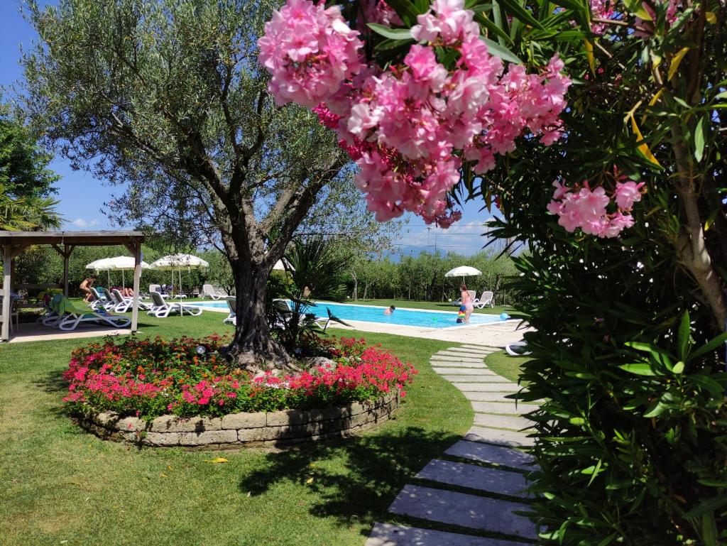Agricampeggio Oasi del Garda photo 1
