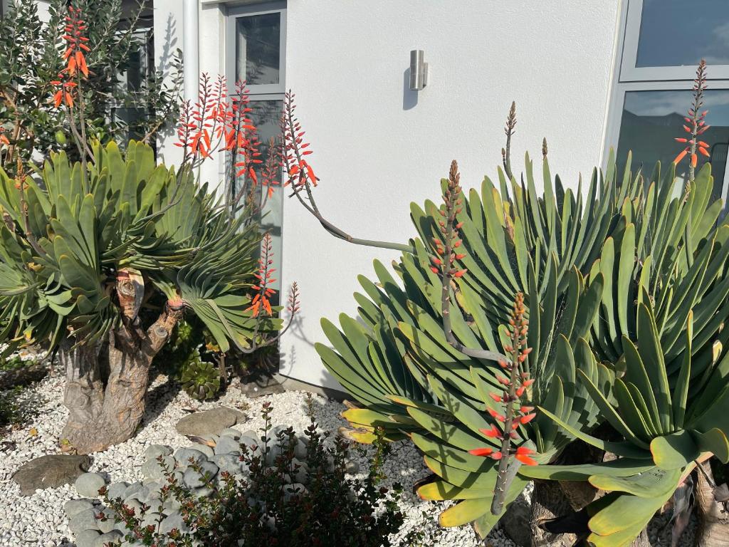 Stunning park side holiday home photo 4