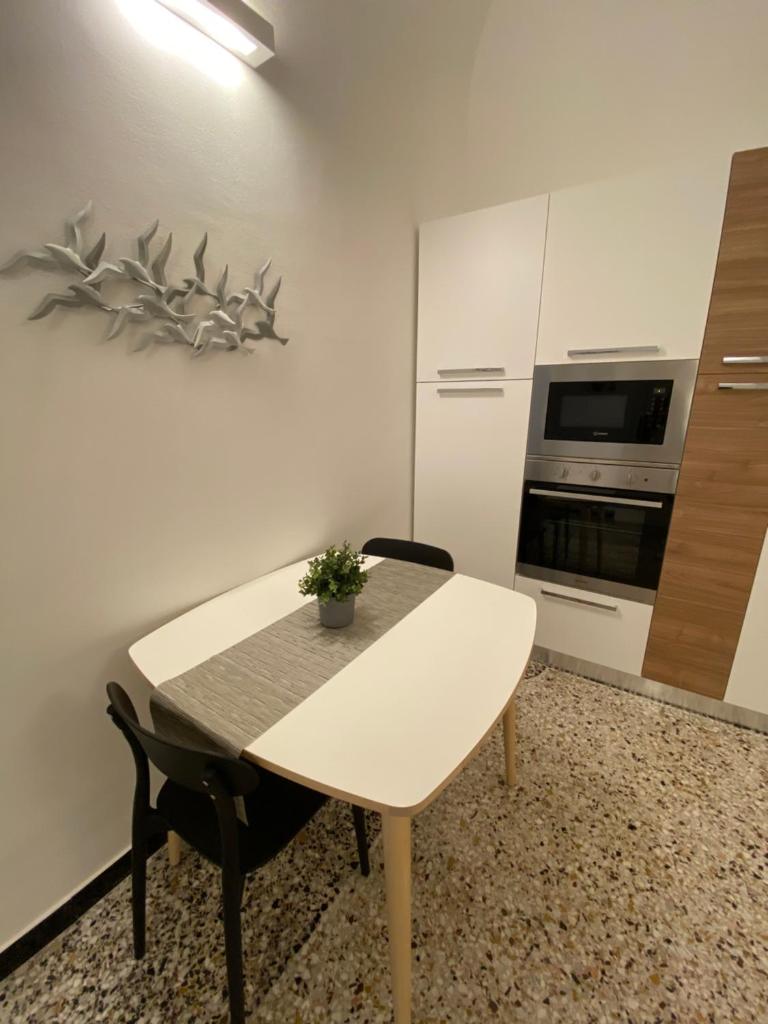 Albatros photo 3
