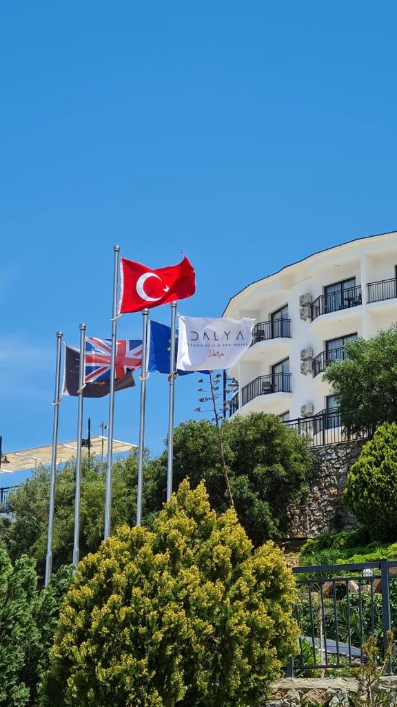 Dalya Resort Aqua & Spa Hotel Datça photo 3